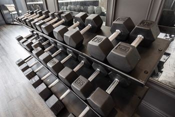 A row of weights in a gym